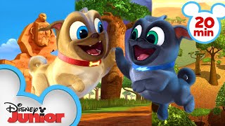 Bingo and Rolly Travel Around Africa  Compilation  Puppy Dog Pals  Disney Junior