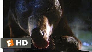 The Great Outdoors 410 Movie CLIP  At the Bear Dump 1988 HD