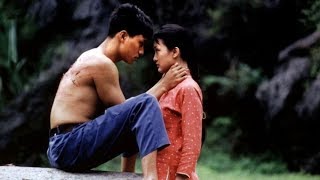 Balzac and the Little Chinese Seamstress 2002  Chinese Movie Review
