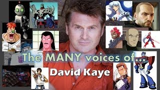 The MANY Voices of  David Kaye