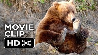 Bears Movie CLIP  Stuffed Bears 2014  Disneynature Documentary HD