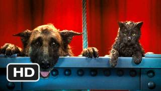 Cats  Dogs The Revenge of Kitty Galore 7 Movie CLIP  I Think I Like You 2010 HD