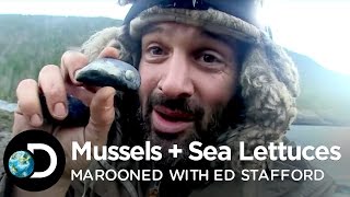 Grilled Mussels With Sea Lettuces   Marooned with Ed Stafford S2E6