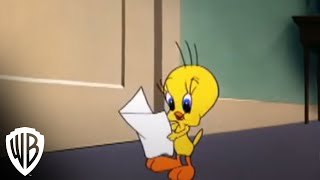 Looney Tunes Super Stars Tweety  Sylvester Feline Fwenzy  Admirer  Warner Bros Entertainment