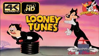 LOONEY TUNES Looney Toons A Tale of Two Kitties 1942 Ultra 4K  Mel Blanc Tedd Pierce