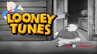 Looney Tunes Cartoon Classics Plane Dippy Porky Pig 1936 HD  Billy Bletcher Joe Dougherty