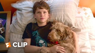 Think Like a Dog Exclusive Movie Clip  Best Friends 2020  FandangoNOW Extras
