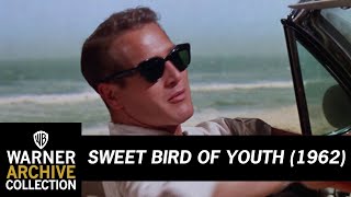 Open HD  Sweet Bird of Youth  Warner Archive