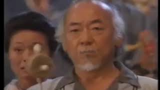 The Karate Kid Part III TV Spot 2 1989 windowboxed