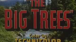 The Big Trees  Full Length Western Movies Western Films