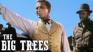 The Big Trees  Kirk Douglas  WESTERN MOVIE  Action Film  Romance  Full Length Movie