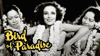 Bird of Paradise1932 Adventure Drama Romance Full Length Film