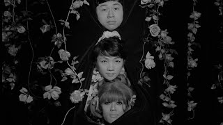 Funeral Parade of Roses 1969 clip  on BFI Bluray from 18 May 2020  BFI