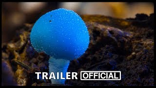 Fantastic Fungi Movie Trailer 2019  Documentary Movies Series