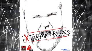 Arn 29 WWE Extreme Rules 2010