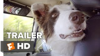 The Stray Trailer 1 2017  Movieclips Indie