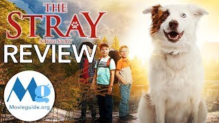 THE STRAY Movie Review By Movieguide