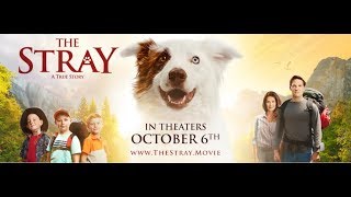 The Stray 2017 Movie Emotional Trailer With Boxer Rex