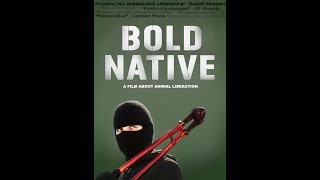 Bold Native 2010