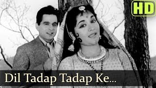 Dil Tadap Tadap Ke HD  Madhumati Songs  Dilip Kumar  Vyjayantimala  Lata Mangeshkar  Mukesh