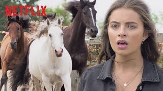 Wild Horse Stampede  Free Rein  Netflix After School