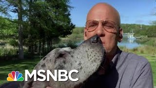 Deadline White House Gets A Special Canine Guest  Deadline  MSNBC