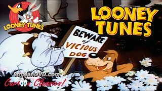 LOONEY TUNES Looney Toons Ding Dog Daddy 1942