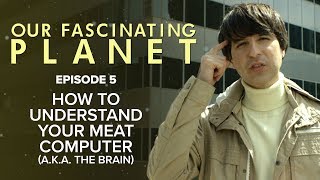 How To Understand Your Meat Computer aka The Brain with Demetri Martin