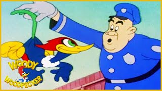 Woody Woodpecker  The Screwball  Old Cartoon  Woody Woodpecker Full Episodes