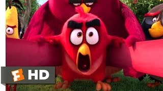 The Angry Birds Movie  Ready Aim Fire Scene  Fandango Family