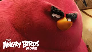 The Angry Birds Movie  Clip Meet Terence