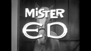Mister Ed 1961  1966 Opening and Closing Theme With Snippet