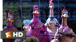 Chicken Run 2000  The Not So Great Escape Scene 110  Movieclips