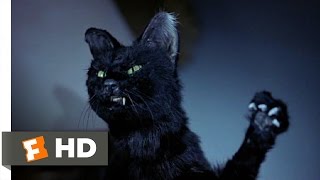 Scary Movie 2 711 Movie CLIP  My Pussys Gone Crazy 2001 HD
