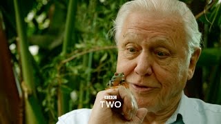 Natural World Attenboroughs Fabulous Frogs  Trailer  BBC Two