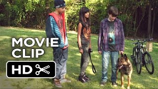 Max Movie CLIP  Air Jordan of Dogs 2015  War Dog Drama HD