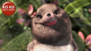CG Short film Our Wonderful Nature The Water Shrew  by Tomer Eshed