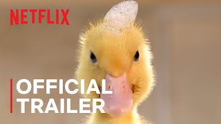 Tiny Creatures  Official Trailer  Netflix