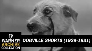 Hot Dog  Dogville Shorts  Warner Archive