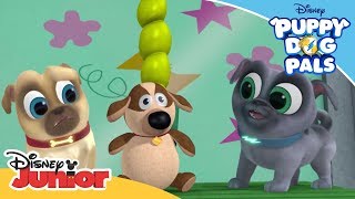 Stuffing a New Toy Ruff  Puppy Dog Pals   Disney Channel Africa
