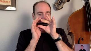 David Barrett on tongue blocking Harp to Harp 12 harmonica interview by Liam Ward