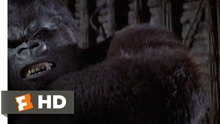 King Kong 69 Movie CLIP  Trapping the Beast 1976 HD