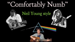 Pink Floyd  Neil Young style  Comfortably Numb cover by Seth Hoffman acoustic guitar  harmonica