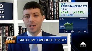 Cavas IPO encourages issuers with strong valuation says Renaissance Capitals Matt Kennedy