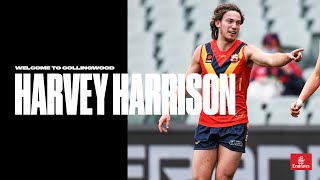 Draft Highlights Harvey Harrison