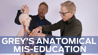 Anatomical MisEducation with Greys Anatomys Kevin McKidd and Greg Germann
