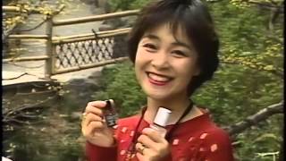 Voice Actor 30 Noriko Hidaka 30 