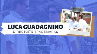 A Guide to the Films of Luca Guadagnino  DIRECTORS TRADEMARKS