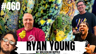 Why Ryan Young calls Designer Green Tree Pythons Mutts  All In The Tree Tuesdays
