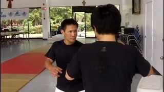 Ninja Monkeys training with Darin Fujimori Kevin Won and Leon Sheen
